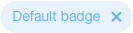 defualt size default color close option badge