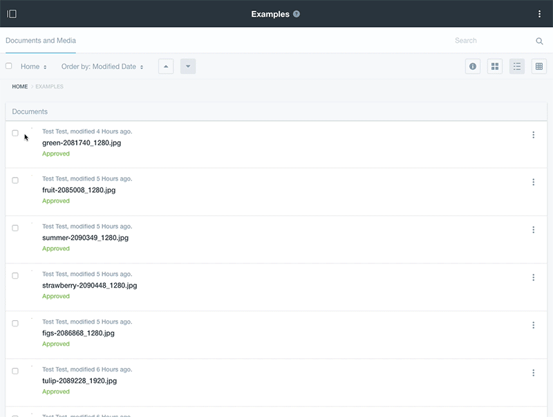 sidebar example for an image in documents and media
