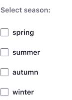 Checkbox text is not capitalized