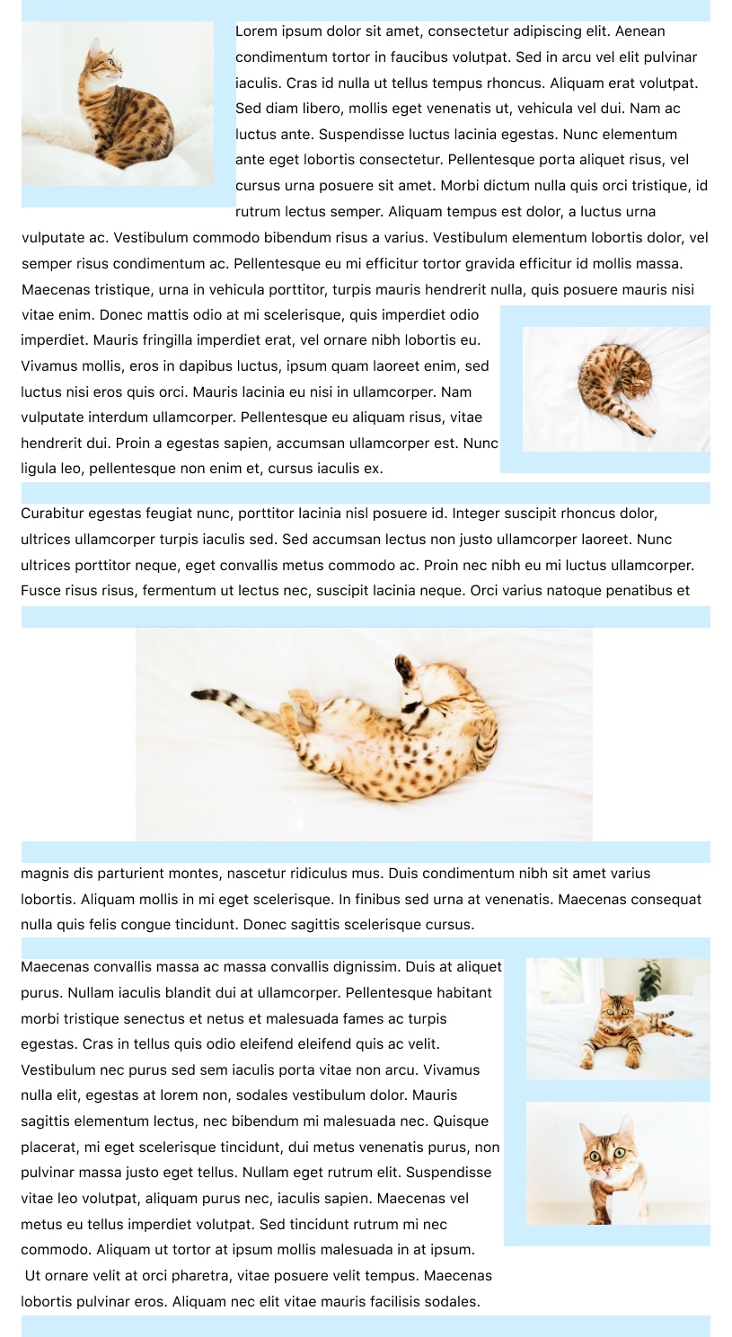 two buttons of same height in a row