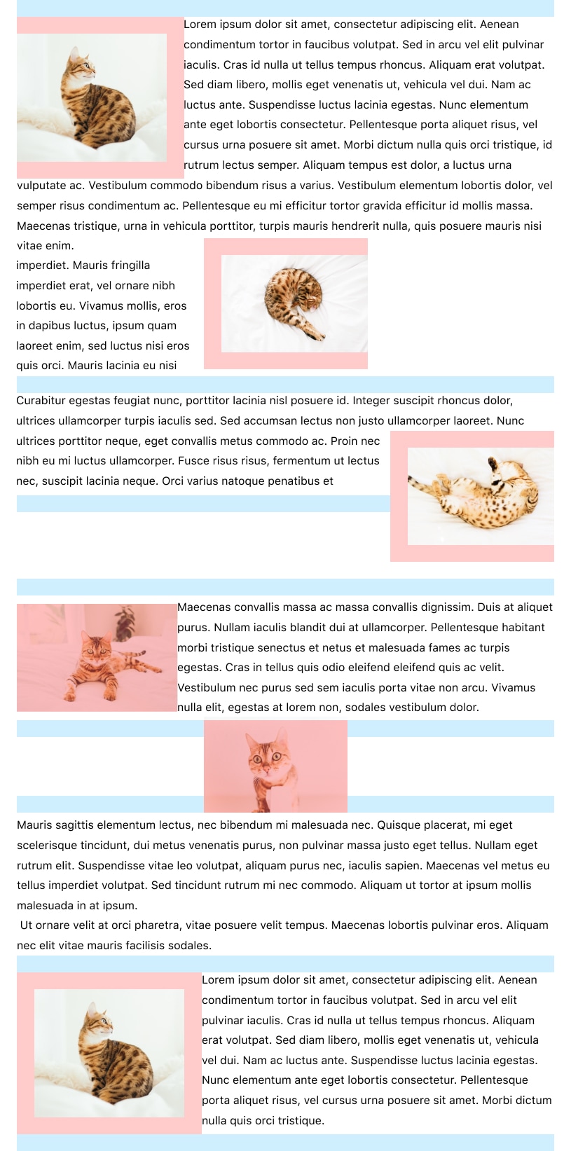 two buttons of same height in a row