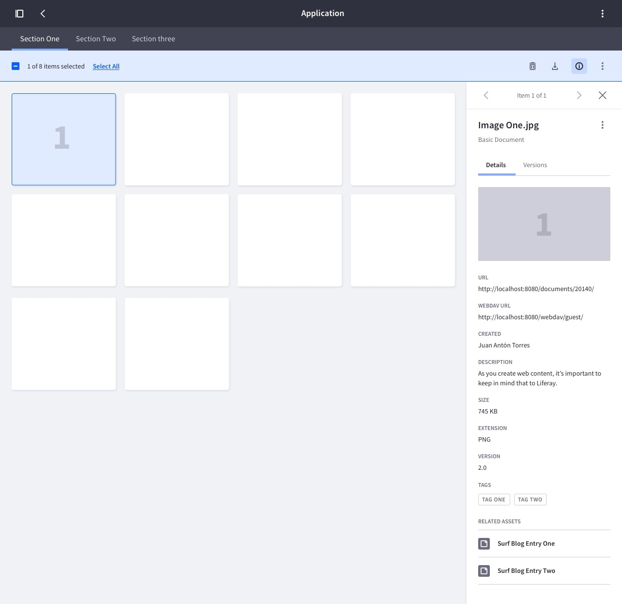 SideBar Example for Documents and Media, details tab selected