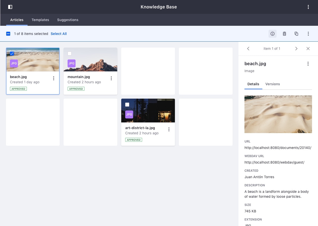 first card in visualization selected, infor from first card loaded in the info panel